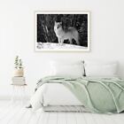 Wolf on Snow Photograph Print Premium Poster High Quality choose sizes