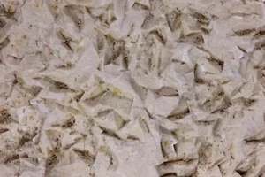 TALK/ StEATIT ps. DOLOMIT aus Deutschland / Steatite after Dolomite from germany - Bild 1 von 2