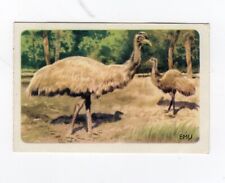 Australian Animal Trade card - Emu