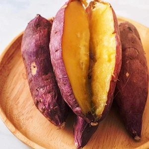 Sweet Potato ‘Japanese Beni-masari Satsumaimo’ (1x Rooted Plant) Edible Plant - Picture 1 of 5