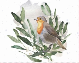 3er Set Winter Schnee Vögel n 16 x 20 Drucke Landschaft - Bild 1 von 3