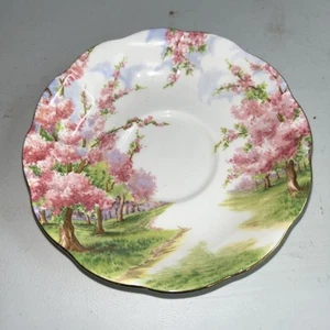 Vintage Royal Albert China Saucer “Blossom Time” Made in England 5.5” - Picture 1 of 4