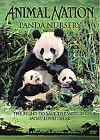 Animal Nation: Panda Nursery DVD (2007) cert E Expertly Refurbished Product