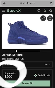 Jordan 12 Retro Deep Royal Blue (GS) Size 7Y Clean AF No Box - Picture 1 of 10