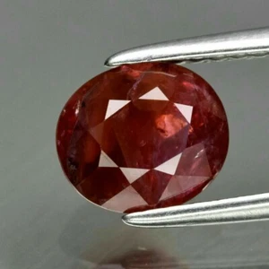 1.46ct 7x6mm Oval Natural Unheated Untreated Red Ruby, Madagascar(VER VIDEO) - Bild 1 von 2