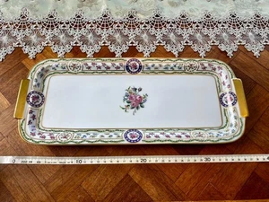 Haviland Limoges Louveciennes Serving Platter Rare & Exquisite Porcelain - Picture 1 of 7