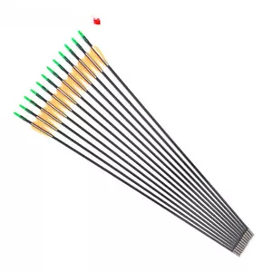 Fiberglass Arrow with White Feather for Recurve and Longbow Practice, - Picture 1 of 6