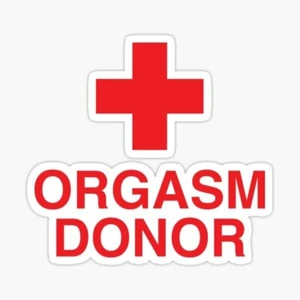 Funny Laptop sticker orgasm doner skateboard welding bumper car truck van - Picture 1 of 1