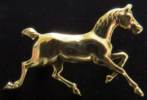 Spilla Spilla Colt Cavallo Pony Amante Equitazione Cavaliere Cavalli Placca Oro 24 Kt - Foto 1 di 2