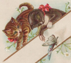Viktorianische Karte Katzen spielen mit Schmetterlingen - Bild 1 von 4