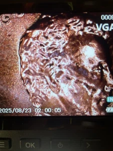 2025 penny error Die Chip By The Date And Double Ear Lobe And Nose Broadstruck - Picture 1 of 5