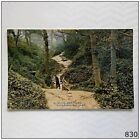 Hastings Ecclesbourne Glen Photochrom Celesque Series 1914 Postcard (P830)