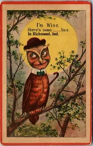 Vintage Postcard Creepy Owl ~ I'm Wise There's Some Lies in Richmond IN 1914 - Picture 1 of 3