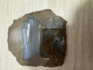 Priday Moss Agate Slice - Picture 1 of 12