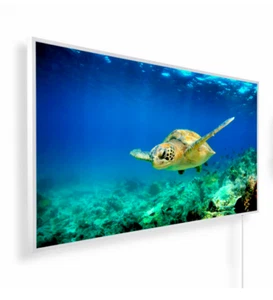 Infrarot Könighaus P-800, 800 Watt Bildheizg Rahmen weiß "Schildkröte" - Bild 1 von 22