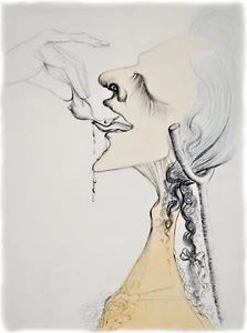 Arte Pájaro en Lengua Salvador Dalí Imagen 30x42 Colección A2D4 - Imagen 1 de 2