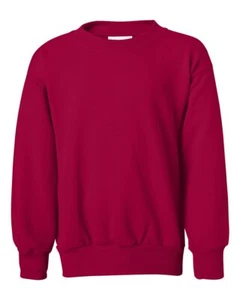 YOUTH SWEATSHIRT LONG SLEEVE RED COLOR ALL SIZE BOYS UNISEX KIDS SWEATSHIRT - Picture 1 of 4