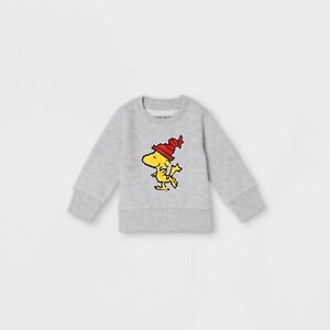 Baby Christmas Peanuts Family Graphic Sweatshirt & Jogger Pants Set Gray NB