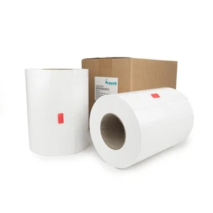 Rauch DryLab 230 Litho archiv Matt Rollenware 2 Rollen - Breite: 21,0 cm - Länge - Picture 1 of 1