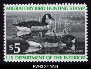 RW43 XF MNH 1976 Kanada Gänse USA Bund Ente Briefmarke wandernde Wasservögel - Bild 1 von 3