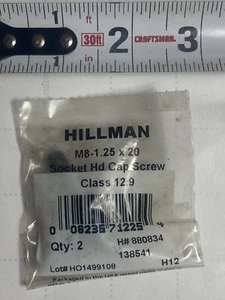 HILLMAN M8-1.25 X 20Mm Socket Head Cap Screws, Allen Socket D, Two Piece Set - Picture 1 of 3