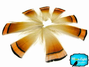 1 DOZEN - NATURAL ORANGE Golden Pheasant Tippet Feather - Picture 1 of 3