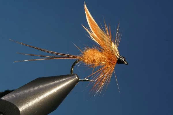 Fliegentom Trockenfliege 3 Stück Schneiders Aitelfliege - Bild 1 von 1