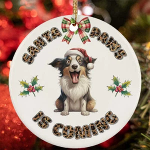 Funny Santa Paws Collie Dog Lover Christmas Ornament Gift Tree Decor Hanging - Picture 1 of 4