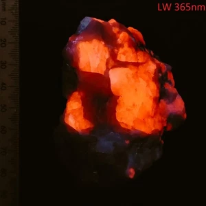 Fluorescent Hackmanite tenebrescent daylight colour change in seconds 583ct - Picture 1 of 8