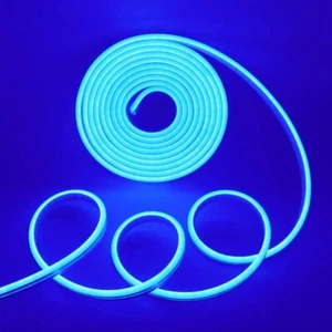 Blue Silicone LED Neon Rope Light Strip DC 12V IP67 Indoor Outdoor Party Decor - Picture 1 of 12