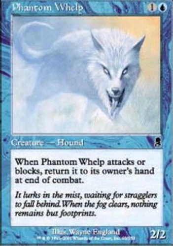 Phantom Whelp - Odyssey #93/350 MTG Magic The Gathering - Image 1 of 1