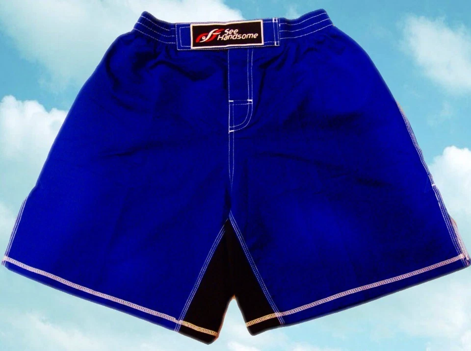 MMA Grappling BJJ Muay Thai Fight Kick Boxing Fighter Shorts. - Image 1 of 1