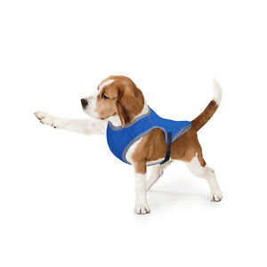 Hundekühlweste Hitzeschutz Hundejacke Mantel Hundeweste Kühlungseffekt Kühlweste
