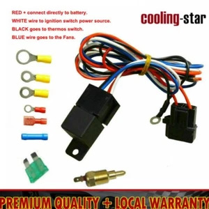 Electric Radiator Cooling Fan Relay Kit Thermostat Temp Control Switch Universal - Bild 1 von 12