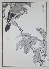 THE JAY : Print Of a 1880s JAPANESE WOODBLOCK Bird Print By BAIREI