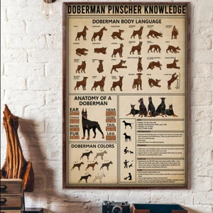 Doberman Pinscher Dog Dogs Knowledge Poster - Picture 1 of 3