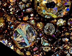 Meteorite NWA 12009 - LL3 Chondrite AMAZING chondrules !! - Thin Section - Picture 1 of 13