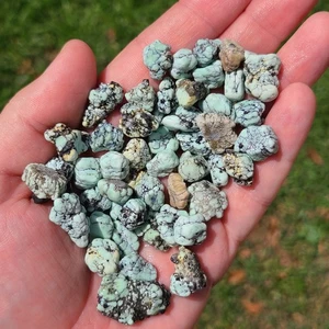 EMERALD BASIN VARISCITE ROUGH NUGGETS NEVADA USA 66.8 GRAMS - Picture 1 of 2
