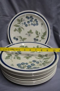 10 X Wedgwood Bramble SPEISETELLER - 10,75 ZOLL BROMBEER-DESIGN - Bild 1 von 5