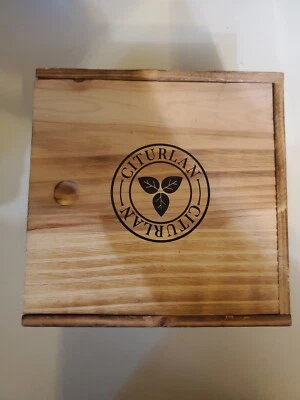 Bonsai Starter Growing Kit Easily Grow 4 Bonsai Trees from Seed Gardening Gift - Image 1 of 4