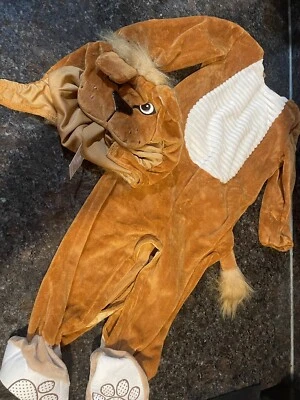 Spirit 婴儿狮子幼崽服装 12-18 个月男宝宝或女孩万圣节服装 — 第 1/4 张图片