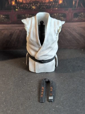 Storm Collectables Virtua Fighter 5 Akira Yuki 1/10 Scale "TORSO GI & BLACKBELT" - Image 1 of 4