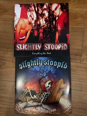 Slightly Stoopid 2LPs Everything You Need & Closer to the Sun Used Non-Smoking - Image 1 of 4