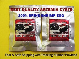 Artemia Cysts American Eagle 100 grams Brine Shrimp Egg PREMIUM Quality USA 90%