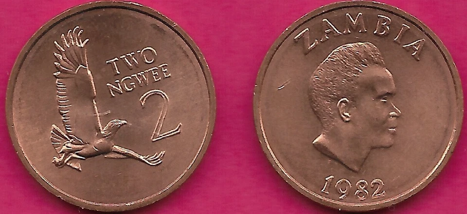 ZAMBIA 2 NGWEE 1982 UNC MARTIAL EAGLE,DENOMINATION AT RIGHT,Kenneth Kaunda, pres - Image 1 of 1