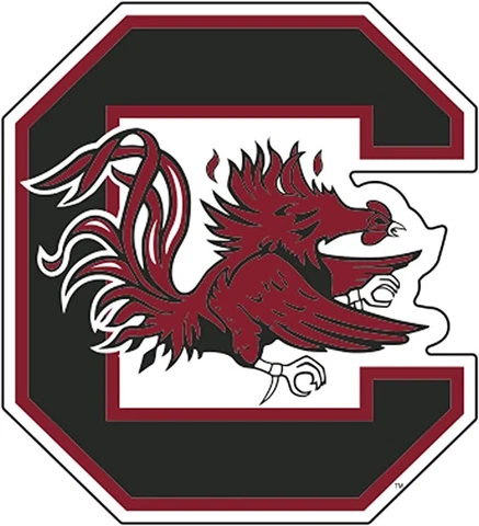 University of South Carolina C-Gamecock 12" Magnet Cover
