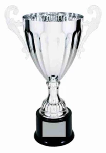 13" Lg Cup Silver Metal Trophy Not Engraved Blank Trophy For all Event & Awards - Picture 1 of 1