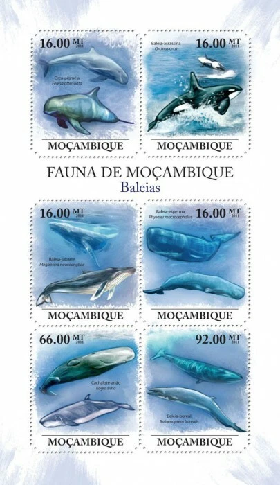 Mozambique 2011 MNH - Whales. Y&T 4076-4081, Mi 5088-5013, Scott 2356 - Image 1 of 1