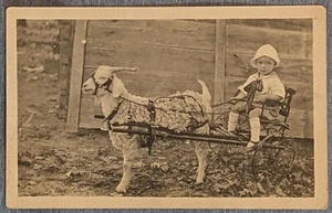 Foto postal real 1919 RPPC niño pequeño vestido como marinero en carro tirado por cabra - Imagen 1 de 2