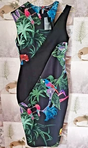 Next Tropical Parrot Bird Black Floral Fitted Bodycon Pencil Skirt Dress BNWT - Picture 1 of 7
